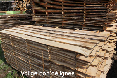 volige non dligne